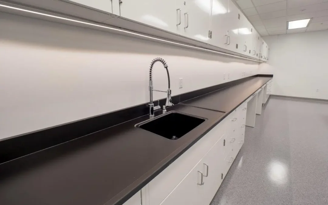 Lab Countertops and Sinks