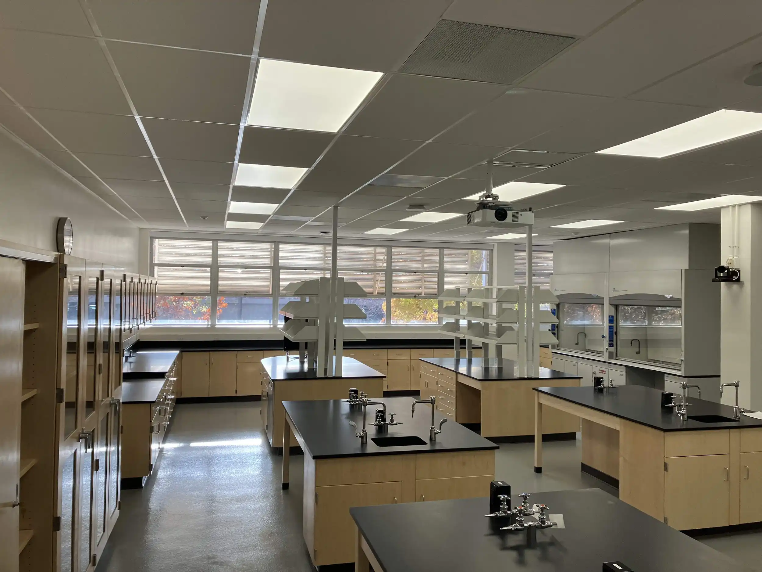 lab+pics+-+reduced-1